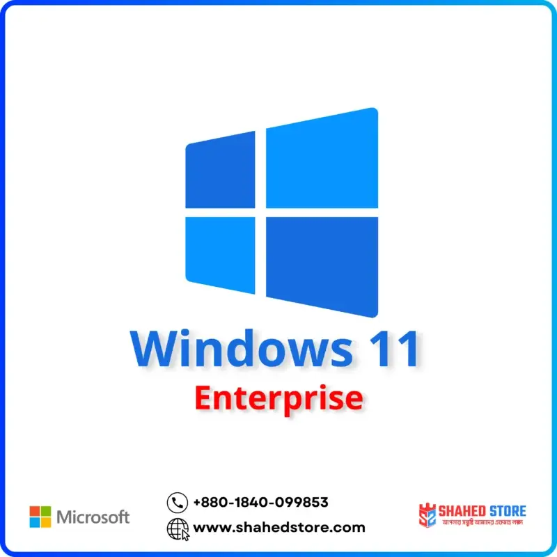 Windows 11