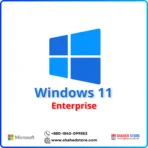 Windows 11