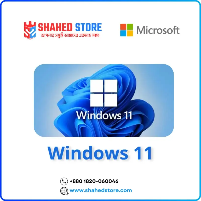 Windows 11