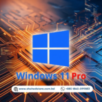 Windows 11 Pro