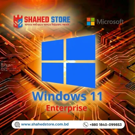 Windows 11 Enterprise License Key