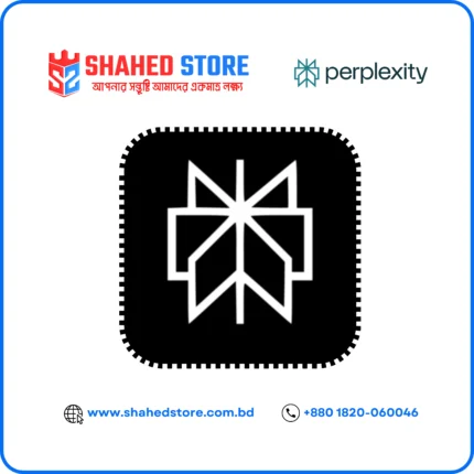 Perplexity Pro